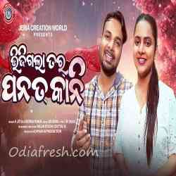 Bhijigala Tor Panata Kani